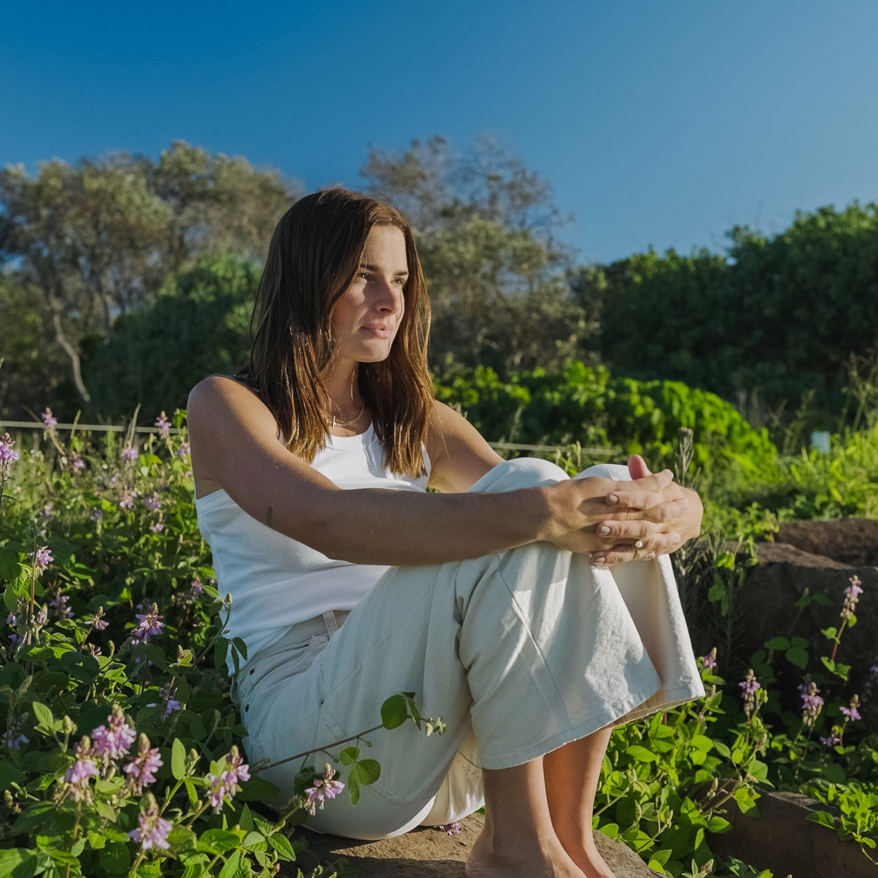 Herbs for Hormone Balance