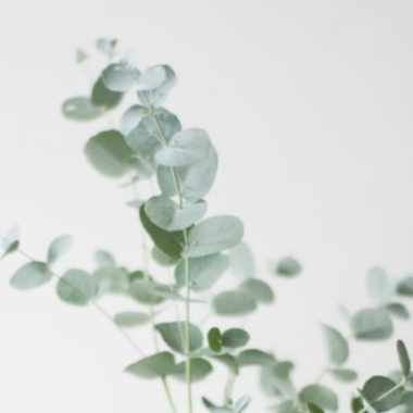 HOW TO GENTLY, YET EFFECTIVELY CLEANSE YOUR LIVER