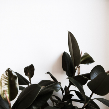 IMPROVING MENTAL HEALTH BY REDUCING SYSTEMIC INFLAMMATION