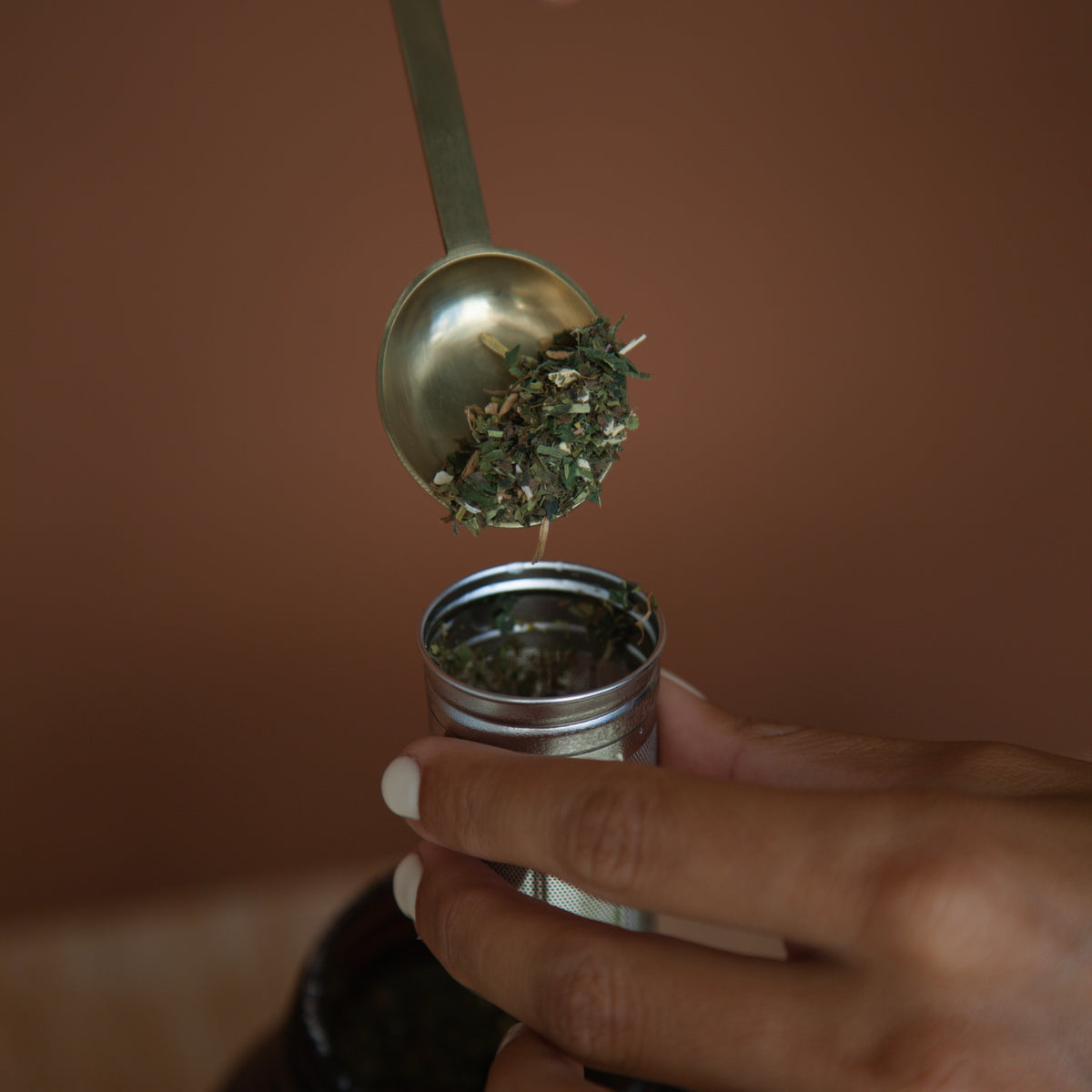 Adapt - Loose Leaf Tea