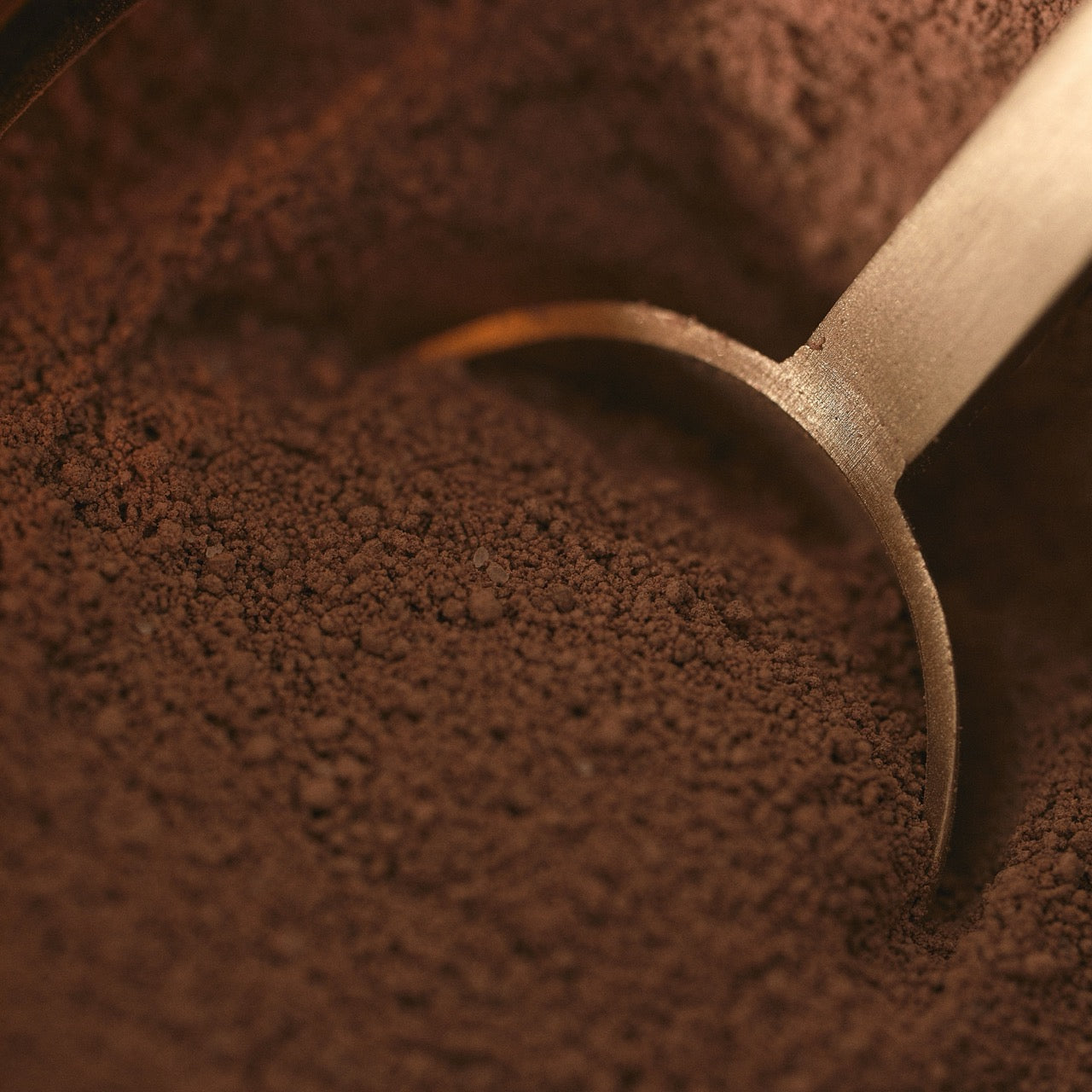 Complete Latte Kit - Drinking Chocolate